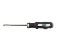 Draper Expert 35181 ftPound Thruft Plain Slot Soft Grip Screwdriver 6.5 X 100Mm each