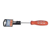 Draper Expert 55495 5 mm x 100 mm Slotted Parallel-Tip Mechanic’s Screwdriver