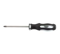 Draper Expert Cross Slot Soft Grip Screwdriver Satin Chrome Plated No.2 x 100mm
