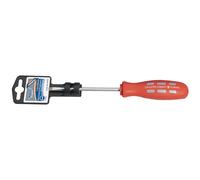 Draper Expert Plain Slot Parallel Tip Mechanic's Screwdriver, 5 x 100mm