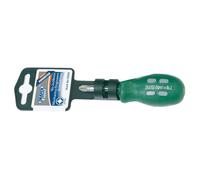 Draper Expert Mechanics Pozi Screwdriver PZ2 38mm