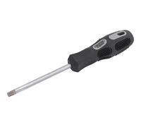 Draper Expert Security Torx Screwdriver T40 115mm