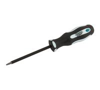 Draper Expert Square Recess Soft Grip Security Screwdriver, S1 x 100mm