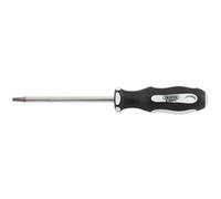 Draper Expert T10x75 TX-Tamperproof S/D-PKD - 35137