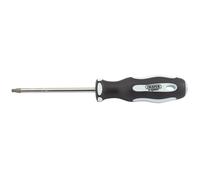 Draper Expert T25x100mm TX Star S/Driver PKD - 35080