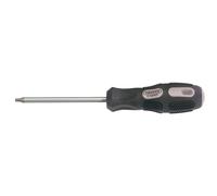 Draper Expert T25x100mm TX Star S/Driver PKD - 40053