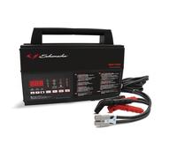 Draper Schumacher 100A Flash Reprogrammer/power Supply With Battery Support, 12V