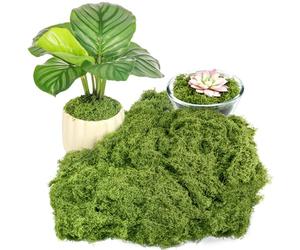 Draupnir Fake Green Moss for Plants Indoor, 5.3OZ Artificial Moss for Potted Plants Decor, DIY Decorative Moss for Crafts Fairy Garden Floral Wedding Model Making Glass Containers Home (150g)