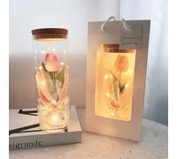 Drawelry Tulip Glass Bottle Bouquet with LED Light, Simulated Tulip Flower Night Light, Birthday Wedding Gift Tulip Lighting Home Bedroom Decor for Women Girlfriend (Pink)