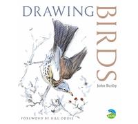 Drawing Birds