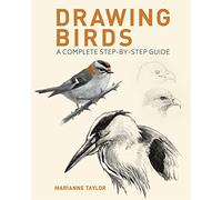 Drawing Birds : A Complete Step-by-Step Guide