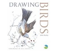 Drawing Birds (RSPB)