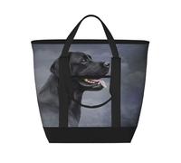 Drawing Dog Labrador,Lunch Bags Large Capacity Insulated Tote Bag For Women Men Work Picnic Travel