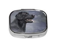 Drawing Dog Labrador,Meta Pill Box 2 Compartment Medicine Case,Portable Organizer,Rectangle Meta Portable Organizer Pill Box 1036 Compartment Medicine Case
