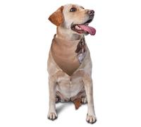 Drawing Funny Basset Hound DogDog Bandanas Cat Puppy Scarfs Washable Pet Handkerchief