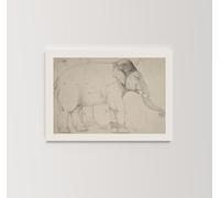 Drawing of an Elephant No1 | Indian Culture Painting, Vintage Mughal School Print, Ink on Paper, Decorative Wall Art, Animal Study Portrait