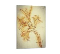Drawing of Lilies, for An Annunciation by Leonardo_Da_Vinci Posters Art Picture Print Canvas Poster Wall Paint Art Posters Decor Modern Home Artworks 12x18inch(30x45cm)