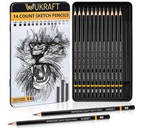 Drawing Pencils for Artists 14 Pcs - 12B - 6H Sketching Pencils Set with Metal case for Drafting, Sketching, Shading, Drawing, Illustrations - Ideal for Artists, Students & Beginners of all Age Groups