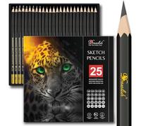 Drawing Pencils for Artists - 25 Grades (14B to 10H) Sketching Pencils Set Covering All Grades - Graphite Pencil with Prime Wood - Art Pencil Ideal for Illustrations, Shading & more