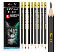Drawing Pencils Set of 8-12B 10B 5B 3B 2B HB H 6H Sketching Pencils for Artists Beginners, Kids & Adults - Premium Wood Art Pencil Sketching Set for Shading, Doodling & Drawing