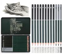 Drawing Pencils,Sketching Pencil Set, 9 Graphite (2H-8B) & 3 Charcoal Pencils, Non-Toxic Art Supplies for Artists, Beginners, Students, for Drawing, Shading, Outlining, Metal Tin Case