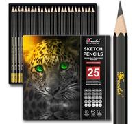 Drawlish Drawing Pencils for Artists 25 Pcs (14B to 10H), Sketching Pencils