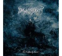 Drawn Into Descent - The Endless Endeavour [VINYL]