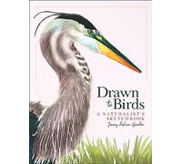 Drawn to Birds : A Naturalist's Sketchbook
