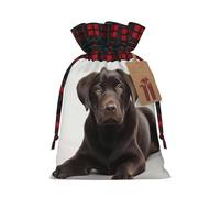 Drawstring Christmas Gift Bags with Tag Small Treat Goody Bags Reusable Gift Wrapping Sacks Pouches Xmas Presents Wrapping Bag Dog Candy Treat Bag for Party Favors Medium