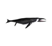drburpily Engaging Sea Animal Model Figures Exquisite Details For Kids Learning Toys for Creative Fun Home Schooling And Projects Sea Creatures Toys Miniature Animal Figurine Toy