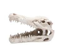 drburpily Premium Resin Dinosaur Skull Ornament Realistic Shapes Safe Edge For Reptile Pets Skeleton Photo Props Figurines Dinosaur Ornaments Home Cave Family Daily Decoration Fishes Hideout Cave