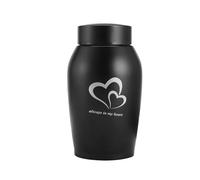 drburpily Sympathy Case Keepsake Case Memory Loose Premium Stainless Steel Memorial Pets Urns Casket Cremation Urn Kitten Pet Urns For Dogs Ashes Cats Cremation Urn Kitten, Black, 8.5x18.5cm