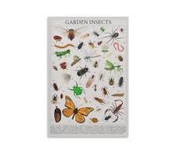 DRDPLXGU Insect Bug Educational Posters Biology Art Explore 44 Fascinating Insects - Perfect for Montessori Poster Canvas Poster Bedroom Decor Landscape Office Room Decor Gift 20x30inch(50x75cm)