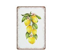 Dreacoss Lemon Tin Signs Lemon Bunch Summer Fruit Sign Lemon Leaf Greenery Funny Vintage Metal Sign Plaqu Poster Wall Art Pub Bar Kitchen Garden Bathroom Home Decor, 140mm x 200mm