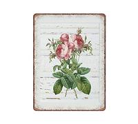 Dreacoss Shabby Chic, Shabby Chic Decor, Shabby Chic Wall Decor, Shabby Chic Wall Art, Funny Vintage Metal Tin Sign Plaqu Poster Wall Art Pub Bar Kitchen Garden Bathroom Home Decor, 30X40 cm