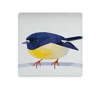 Dreacoss Vintage Tin Sign Tomtit New Zealand Tomtit Metal Sign Miromiro Wall Art Sign Tomtit Art New Zealand Decor Native Birds Print Poster Plaque Decor Garden Decor Farmhouse Decor 30x30cm