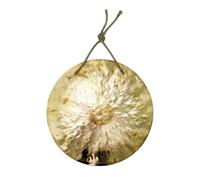 Dream 16 Feng Wind Gong