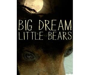 Dream Big Little Bears