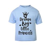 Dream Big Little Princess [BBY6] Short Sleeve Cotton Toddler t Shirt, 2-3 Years, Pastel Blue