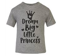Dream Big Little Princess [BBY6] Short Sleeve Cotton Toddler t Shirt, 3-4 Years, Grey