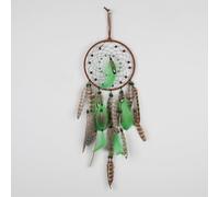 Dream Catcher, Boho Decor Green Dream Catchers for Room Wall Hanging, Feather Bead Dreamcatcher, Ornaments Decoration Craft Gifts for Home Bedroom Living Room Decor (Circle)