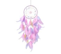 Dream Catcher for Girls, Dream Catchers, Pink Feather Wall Hanging Decor Bedroom Accessories for Romantic Exchange Birthday Wedding Anniversary