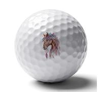 Dream Catching Horse Standard Golf Balls Recreation Ball Professional Gift for Boyfriend Father Husband Son