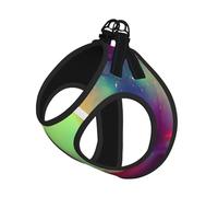 Dream Colorful Print Step in Dog Harness and Leash Set,Adjustable Reflective Harness for Small Dogs Cats
