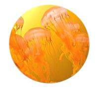 Dream Jellyfish Round Rugs - Sea World Yellow Carpet Modern Low Pile Washable Door Mat for Dorm Living Room Dining Room Entryway Studio 160cm