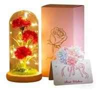 Dream Loom Artificial Carnation In A Dome Clear For Mom Birthday Gift Eternal Carnation With LED Light For Table Decoration Housewarming Gift For Women