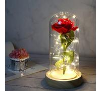 Dream Loom Beauty and The Beast Rose, Eternal Fake Flowers Enchanted Rose in Transparent Dome with LED Light Strip, Romantic Home Decor Gifts for Valentine's Day Mother's Day Wedding Anniversary