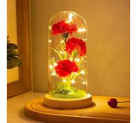 Dream Loom Red Carnation with LED Lights - Eternal Artificial Flowers in Transparent Dome, Light Up Flowers with Wooden Base, Anniversary/Birthday/Valentine's Day for Women, Wife, Mum