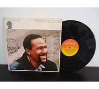Dream Of A Lifetime - Marvin Gaye LP