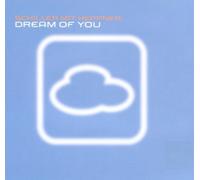 Dream of You by Schiller (2001-07-17)